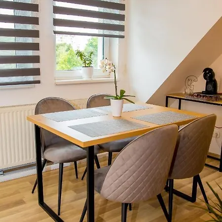 Rose Gold זלאגרסג